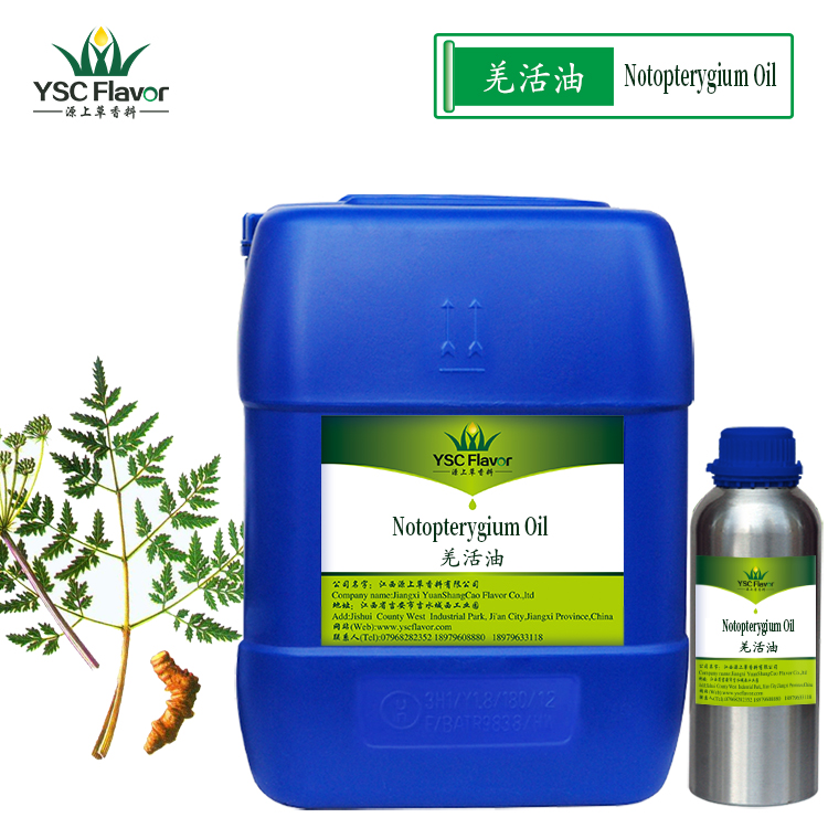 Ǽ͡Ǽ Ǽ Notopterygium Oil